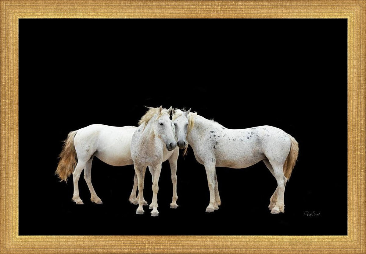 Three White Horses