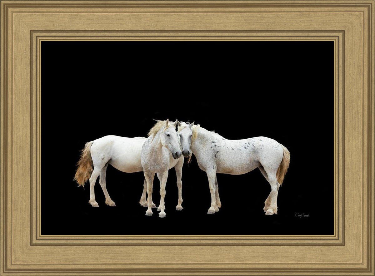 Three White Horses