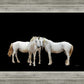 Three White Horses