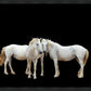 Three White Horses