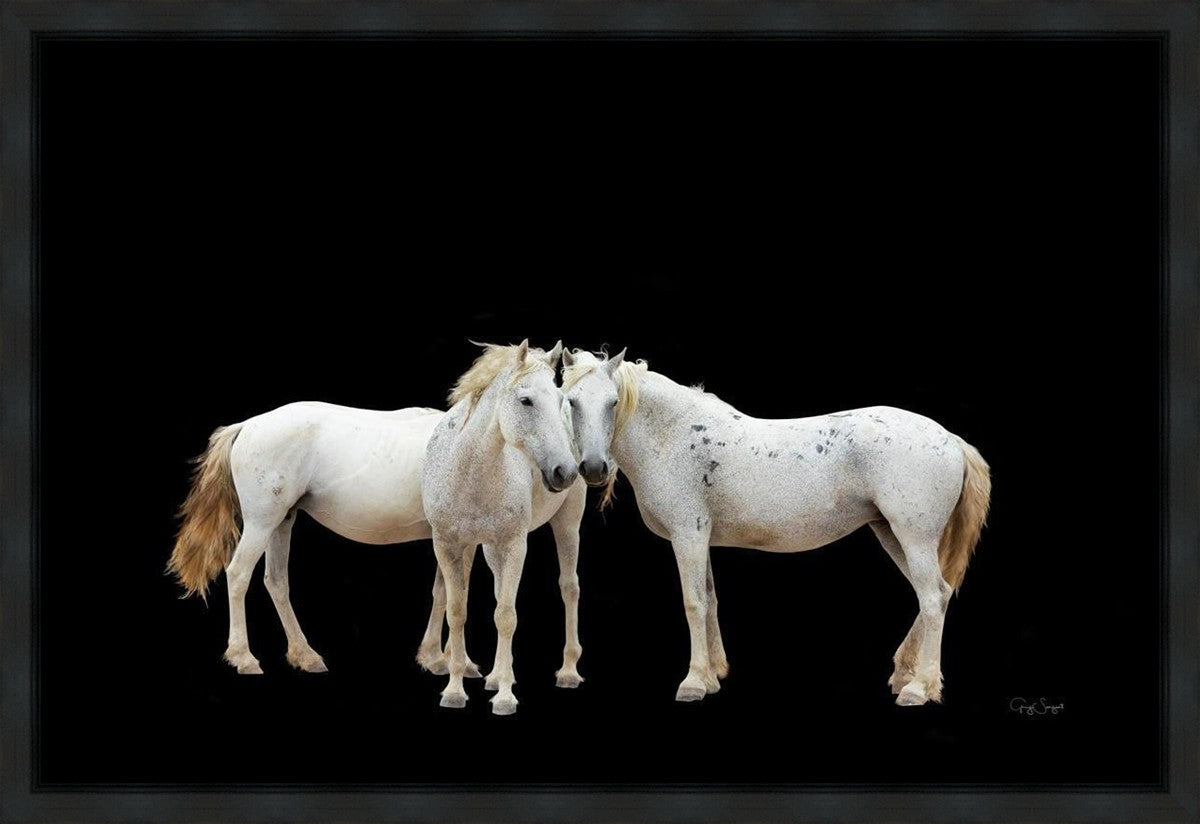 Three White Horses Gallery Wrap