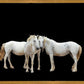 Three White Horses