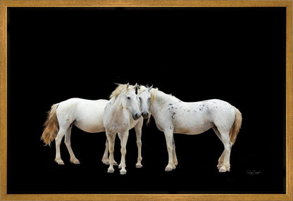 Three White Horses