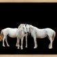 Three White Horses