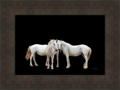 Three White Horses