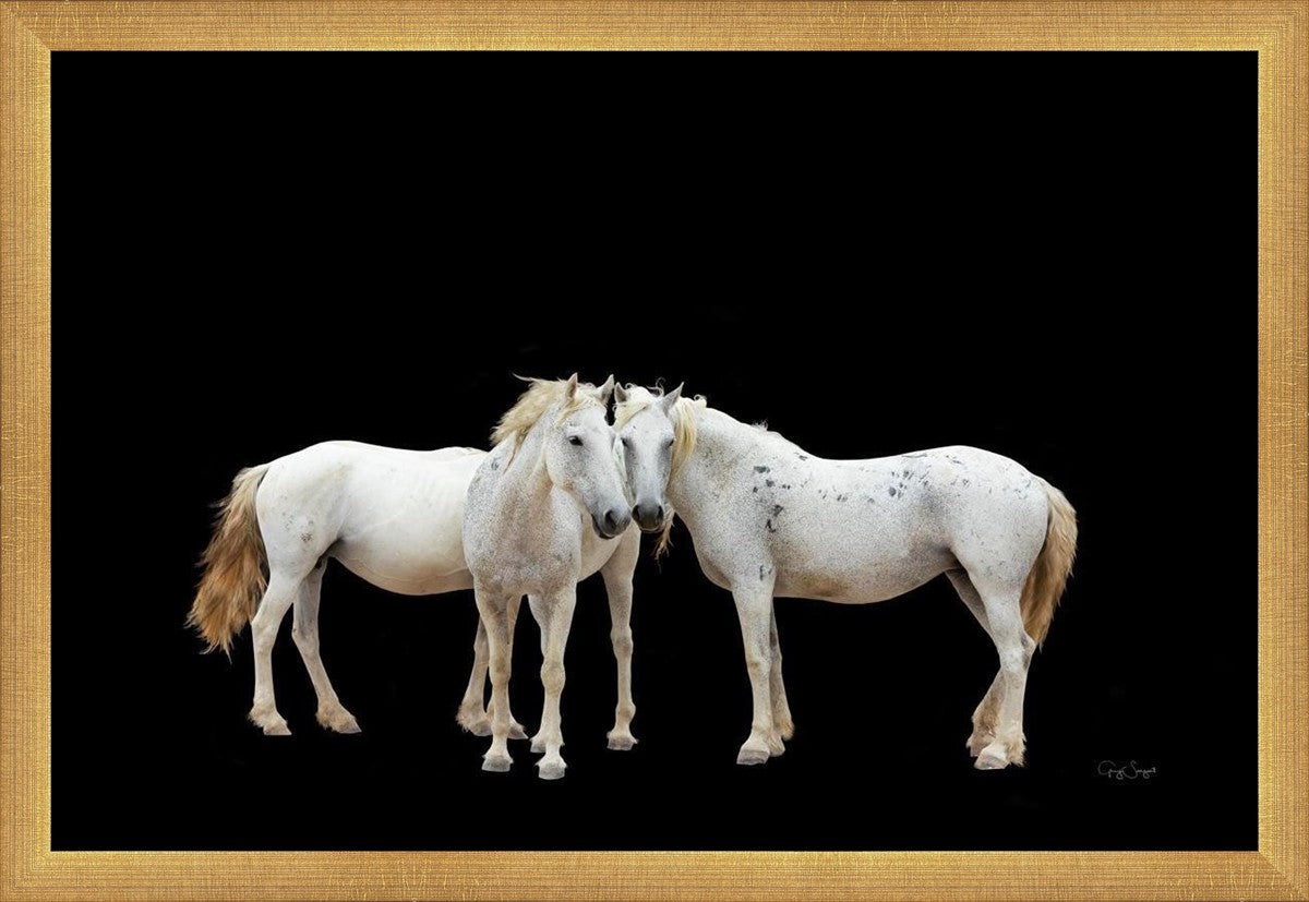 Three White Horses