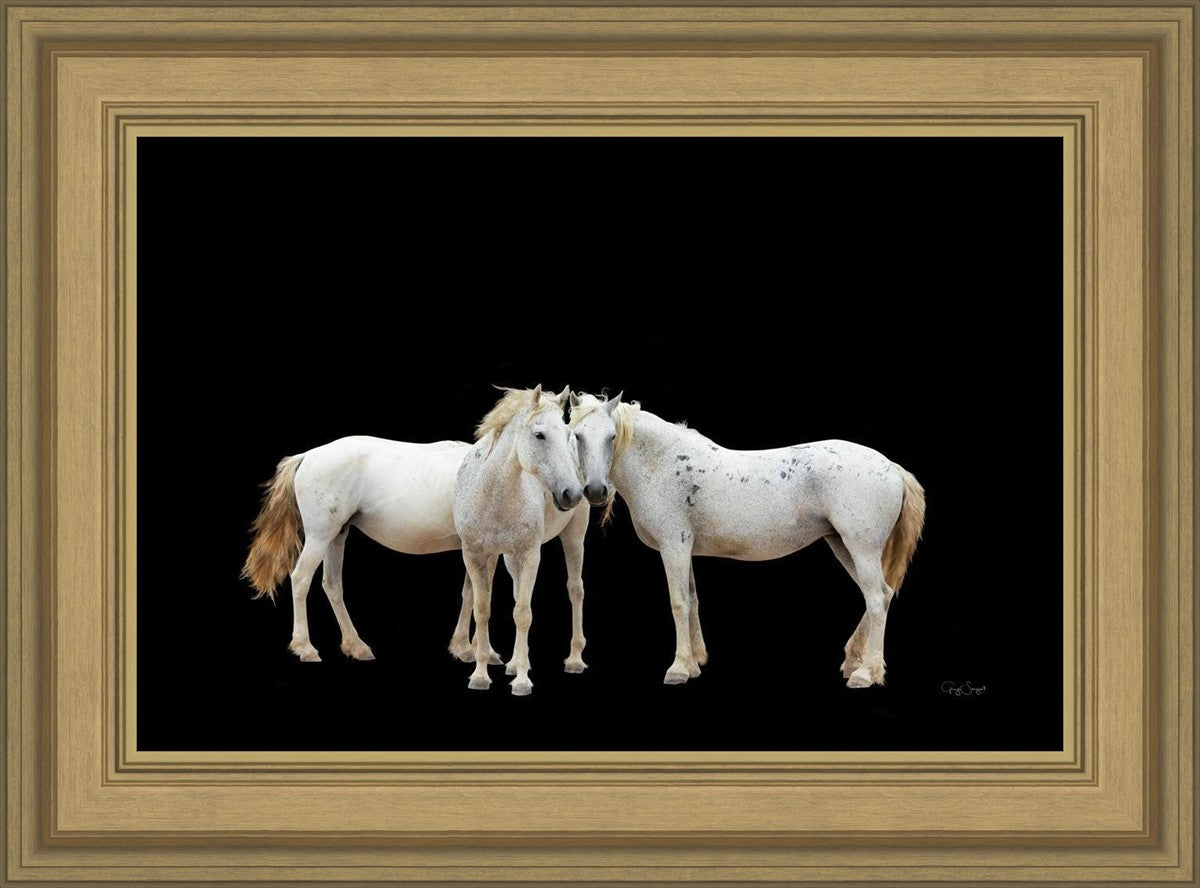 Three White Horses