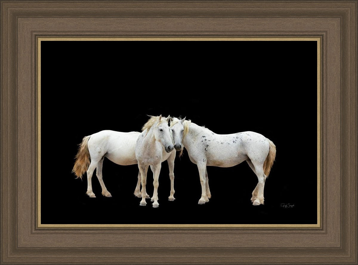 Three White Horses