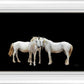 Three White Horses