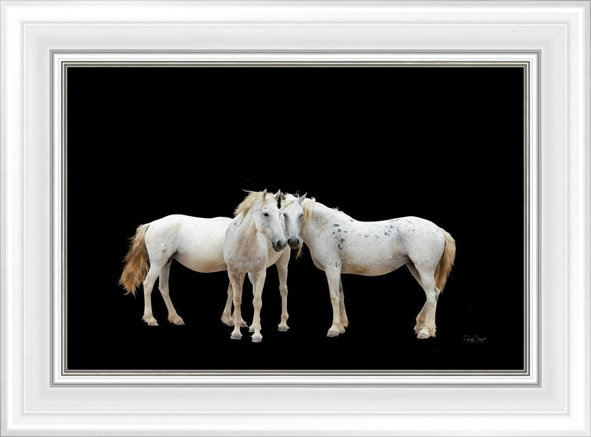 Three White Horses