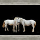 Three White Horses