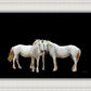 Three White Horses