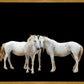 Three White Horses
