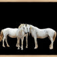 Three White Horses
