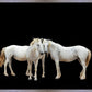Three White Horses