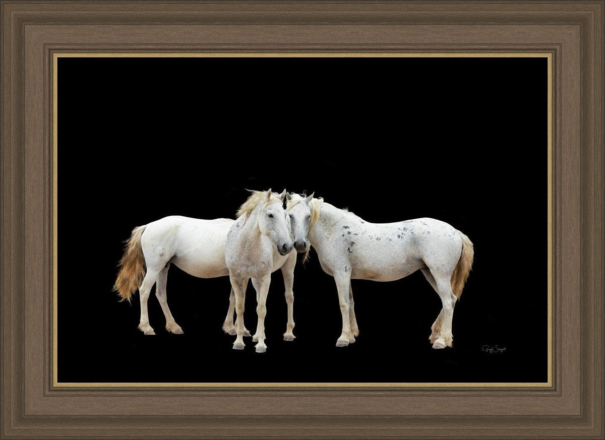 Three White Horses