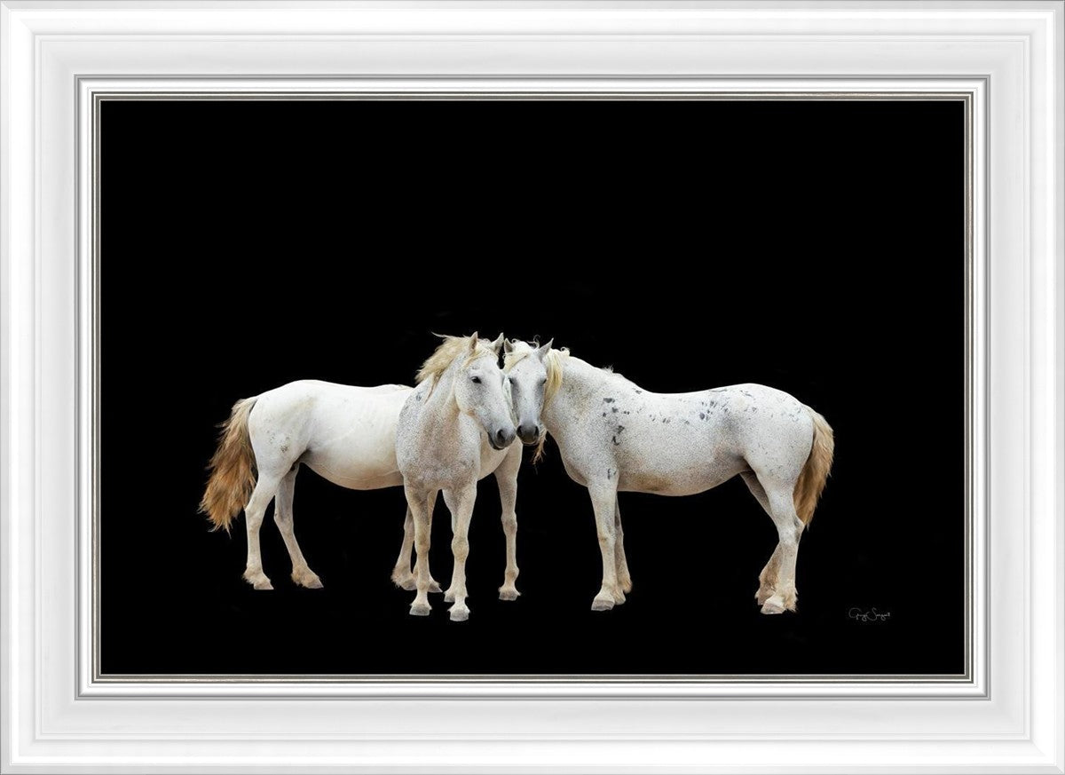 Three White Horses
