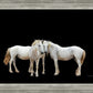 Three White Horses
