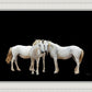 Three White Horses