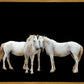 Three White Horses