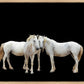 Three White Horses