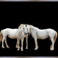 Three White Horses