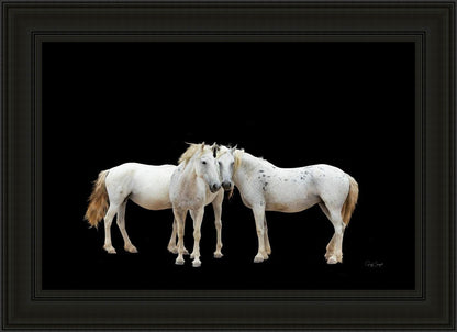 Three White Horses