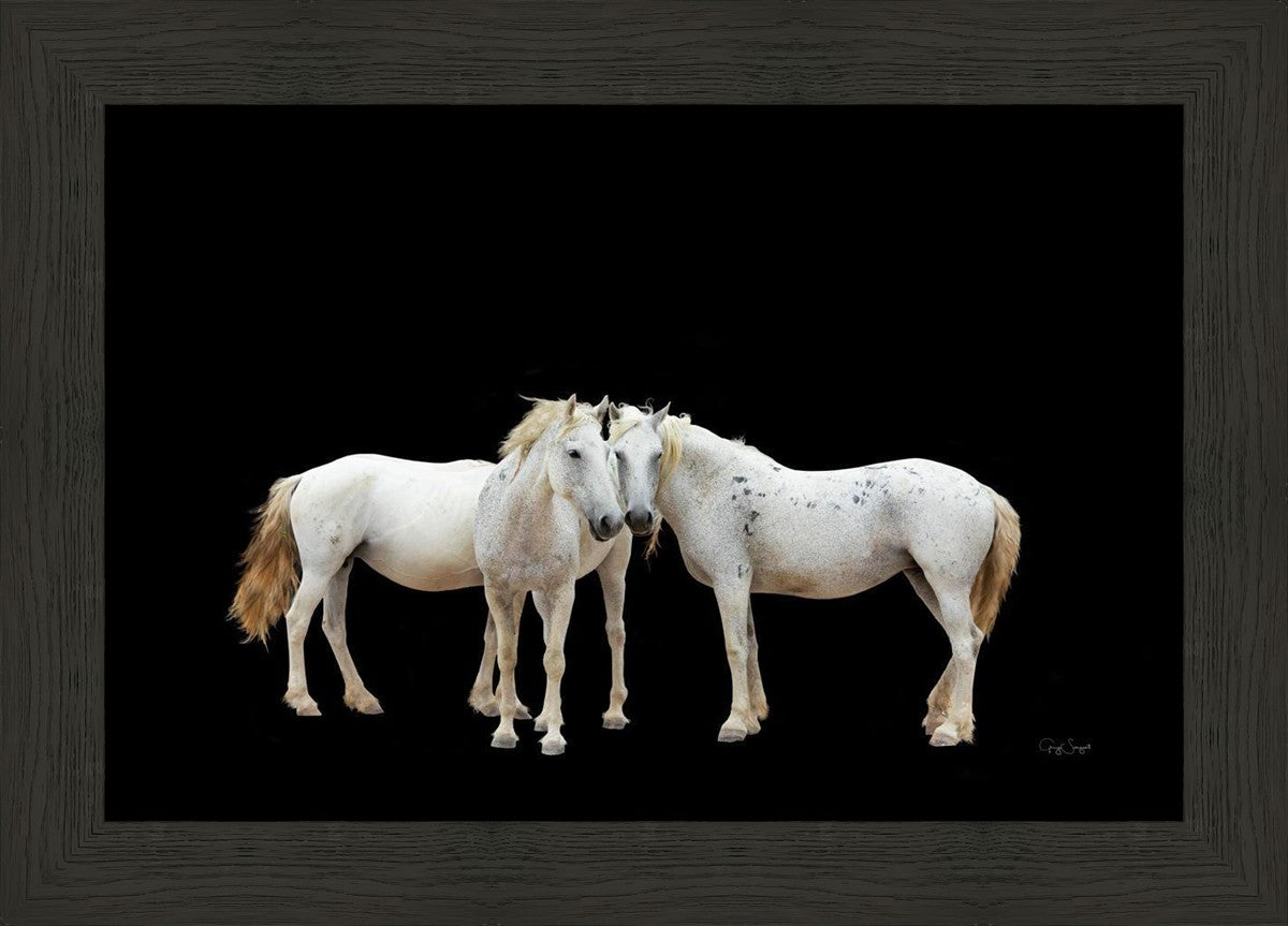 Three White Horses