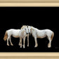 Three White Horses