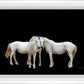 Three White Horses