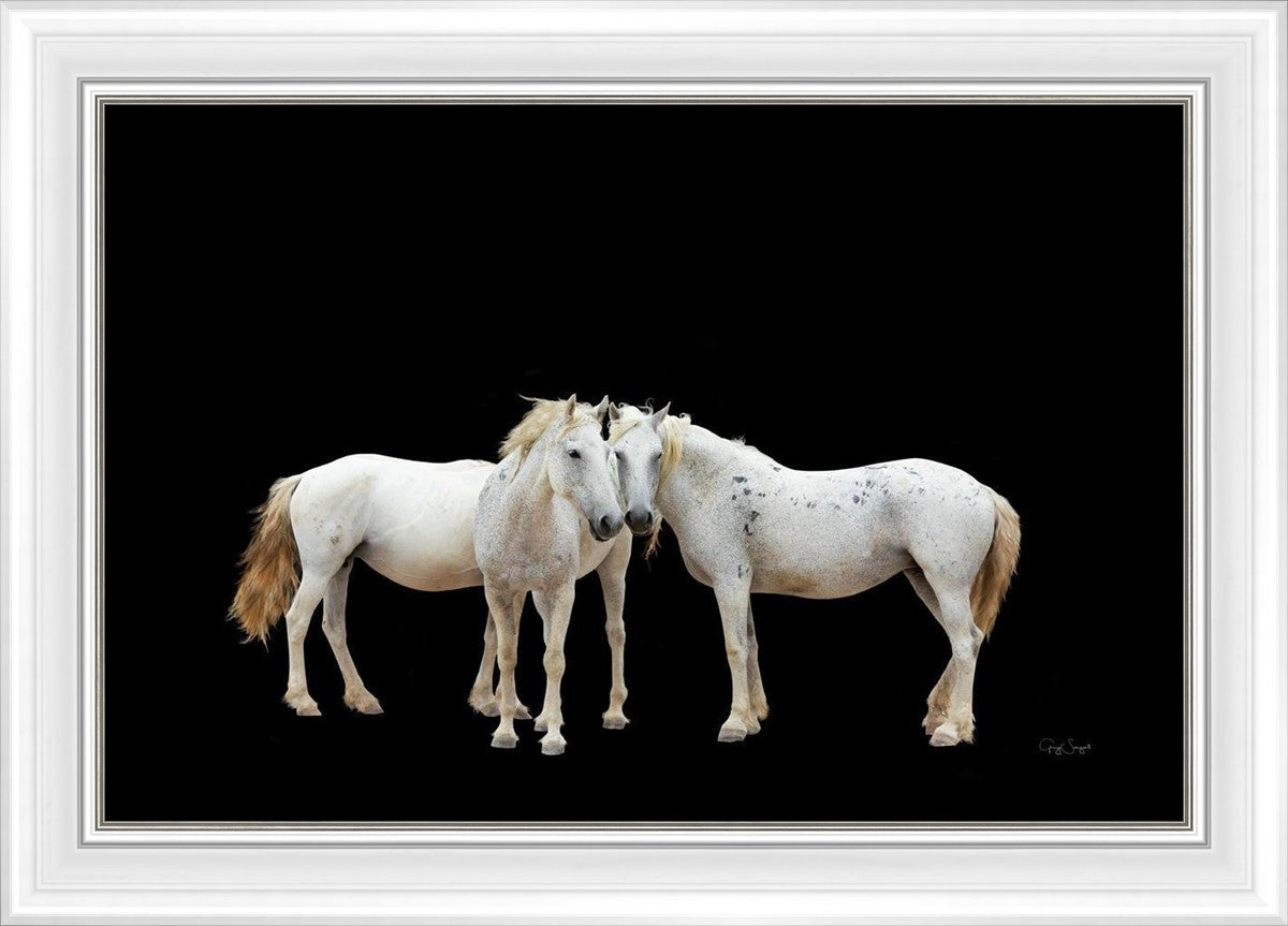 Three White Horses