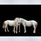 Three White Horses