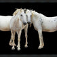 Three White Horses