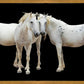 Three White Horses
