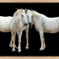 Three White Horses