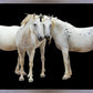 Three White Horses