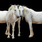 Three White Horses