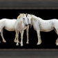 Three White Horses