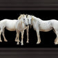 Three White Horses