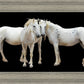 Three White Horses