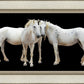 Three White Horses