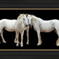 Three White Horses