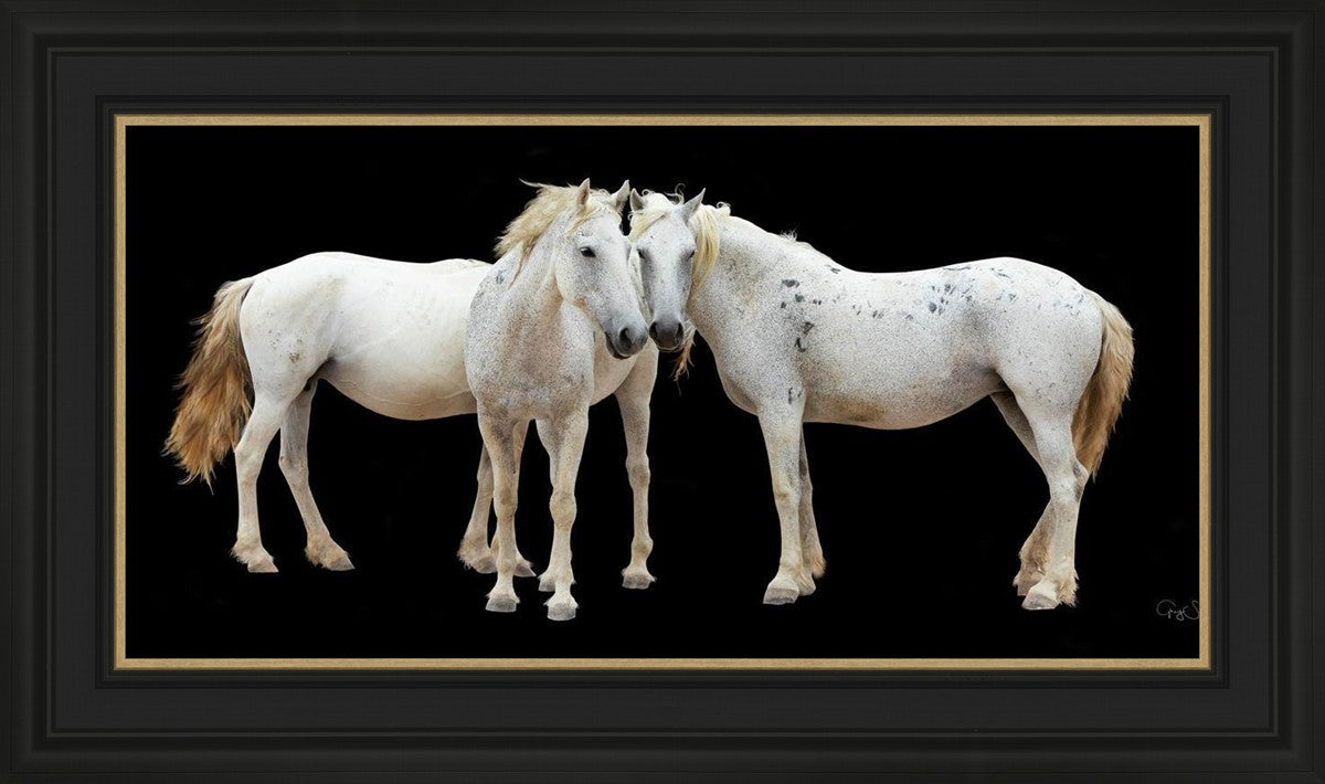 Three White Horses