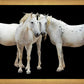 Three White Horses