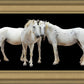 Three White Horses