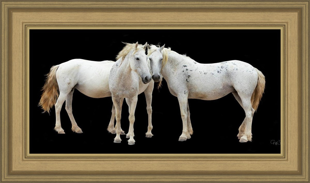 Three White Horses