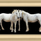 Three White Horses