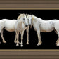 Three White Horses
