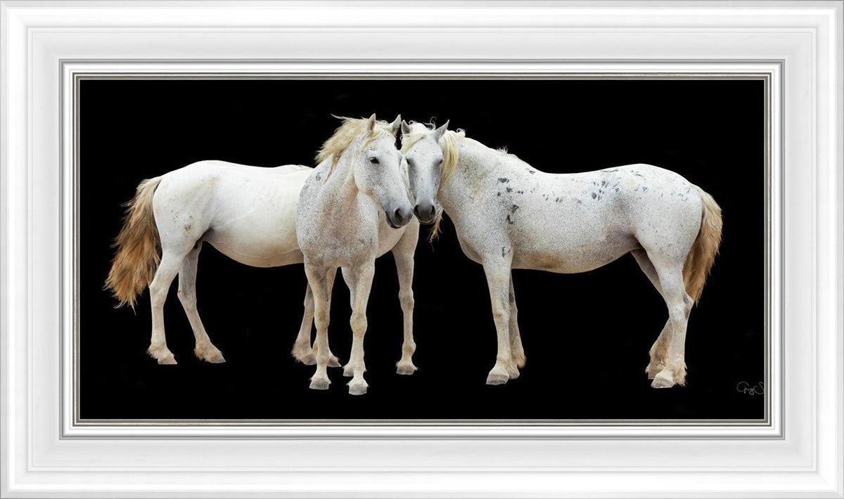 Three White Horses