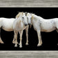 Three White Horses
